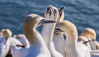 德宏高价上海医保提取2025的最新政策(2025年德宏上海医保怎么提取现金分享)