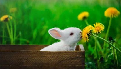 德宏高价上海医保提取2025的最新政策(2025年德宏上海医保怎么提取现金分享)